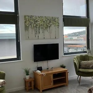 Bay, Marina & Arena View Mins To & Apartment Swansea